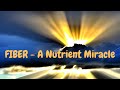 FIBER - A true nutrient miracle