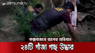 কক্সবাজারে র‍্যাবের অভিযানে ২৪টি গাঁজা গাছসহ মাদক কারবারি আটক | Cox's Rab Drive