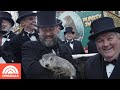 Every Day Is Groundhog Day For Punxsutawney Phil’s Caretakers | TODAY Original