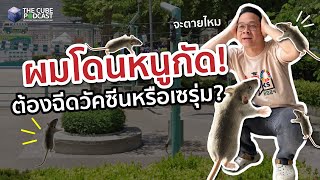 เมื่อผมโดนหนูกัดกลางตลาด ต้องฉีดวัคซีนหรือเซรุ่ม วิตกไปหลายวัน- เล่าเข้มๆ | The Cube Podcast