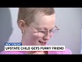 make a wish sc helps child get furry friend