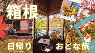 【vlog】箱根の絶景を満喫する日帰り観光｜蕎麦・食べ歩き・紅葉・温泉すべての欲を満たした旅