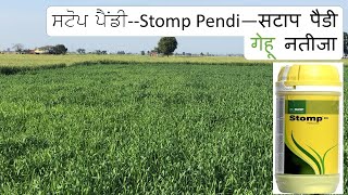 Stomp Pendimethalin spray control on weeds