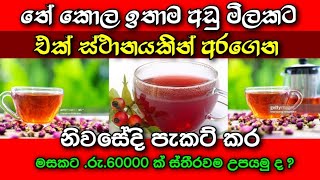 #business #businessideas sinhala #swayanrekiya තේ / තේකොළ / how to start tea business