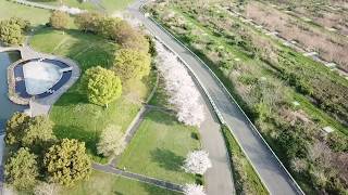 【ドローン空撮】 彩湖 2018年春　空から春を感じる 桜 空撮　DJI MAVIC PRO