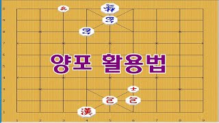 양포를 잘활용하면 쉽게 외통이 됩니다 - 장기박보