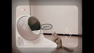 鏟屎官懶到極致！貓咪懷疑貓生？解放雙手！Catlink智慧貓砂機