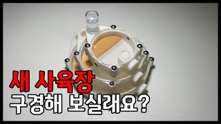 새 사육장 구경해 보실래요? - 와플 사육장