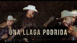 Una Llaga Podrida (LIVE) - Carlos y los del Monte Sinai