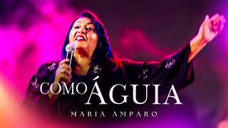 Maria Amparo - Como Águia (Clipe Oficial)