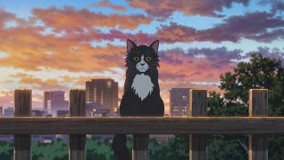 【evening】slow Lofi...🐈‍⬛ - by Lofi books📚🎧