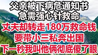 父亲被下病危通知书，急需强心针救命，丈夫却转走180万救命钱，要带小三私奔出国，下一秒我叫他俩彻底傻了眼！