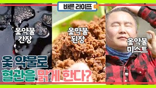 옻 약물이 혈관을 맑게 한다? (+옻 섭취 전 전문의와 상담 필수)