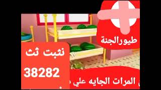 العنب توزيع حديد طيور بيبي TOYOR BABY