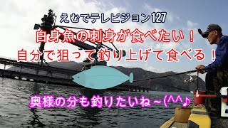 えむでテレビジョン127　白身魚の刺身が食べたい！　自分で狙って釣り上げて食べる！　奥様の分も釣りたいね～(^^♪