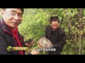 20161028 生财有道 咱们家乡有特产（秋收系列）——走进抚松寻特产