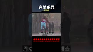 山東大案:被稱為“完美犯罪” #案件 #探案 #懸案 #懸疑 #案件解說