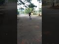 Skating shoes video #video #skating #skate #skater