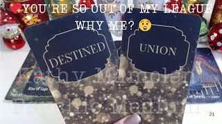 💖YOU'RE SO OUT OF MY LEAGUE WHY ME? 😲🙌DESTINED TO MEET 💖COLLECTIVE LOVE TAROT READING💓✨