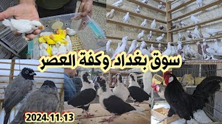 سوق بغداد وكفة العصر اهل الكراتين والخانات انواع الحمام والدجاج وطيور الزينة 13 نوفمبر 2024