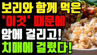 보리와 절대로 함께 먹지마세요! 암과 치매에 걸릴 수 있습니다! 보리 최악의 궁합인 3가지와 만성염증 독소 빼주는 보약보다 좋은 레시피 [새싹 보리 쌀 잡곡 현미 해독 효능 건강]