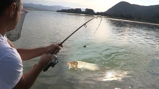 Pecanje šarana na Dunavu - Dubinsko pecanje šarana kod Korbova | Fishing carp in river