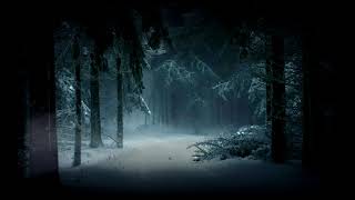 Зима в лесу.Звук метели.Звуки снежной бури для расслабления.