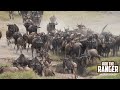 The Great Migration | Maasai Mara Safari | Zebra Plains