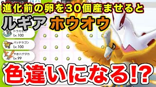 【ポケモン剣盾】進化前の卵30個を産ませるとルギアとホウオウの色違いが出現する裏技を検証した結果【ソードシールド】