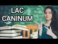 ||LAC CANINUM- HOMOEOPATHIC MEDICINE||EXPLAINED WITH ALLEN KEYNOTES ||DR.DEEKSHA||