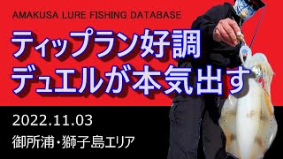 【ティップランエギング】デュエルのエギが本気を出したので良型が続々ヒット。ヤマシタ愛好家を悔しがらせる【天草・御所浦・獅子島】