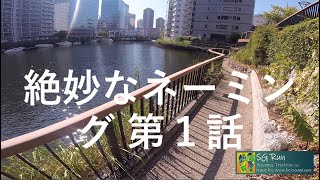 八丁堀ラン No. 1324 絶妙なネーミング 第１話