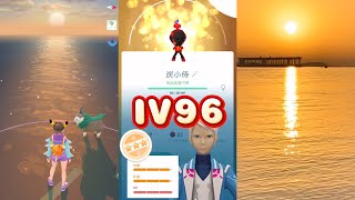 IV96亮晶晶炭小侍❣️ Pokémon GO淡水夕陽❣️ 福又又淡水魚丸😋