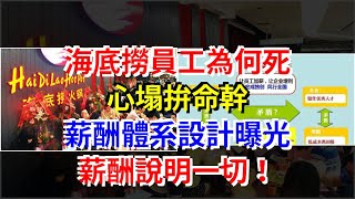 海底撈員工為何死心塌拼命幹，薪酬體系設計曝光，薪酬說明一切！，[每日財經]