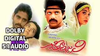 O Priya Priya Video Song "Geetanjali" 1989 Telugu Movie Songs DOLBY DIGITAL 5.1 AUDIO NAGARJUNA