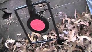 Double Mag Spinner Target Review