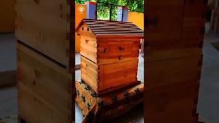 தமிழ்நாட்டில் இத்தாலியான் தேனீக்கள் ஏன் வளர்ப்பதில்லை ⁉️ #italianhoneybee #shorts #honeybees #honey