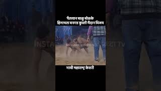 Balu bodke kushti hp maidan #wrestling #viral #trending #reels #sports #shorts #dangal #kushti