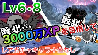 【目指せ3000万XP】Lv6•8　超激なし\u0026レアガチャキャラの＋値なしで挑む【にゃんこ大戦争】