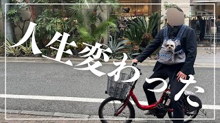 【ありがとう】犬を飼ったら人生が変わった話