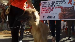 Cuban government allows animal rights march in Havana