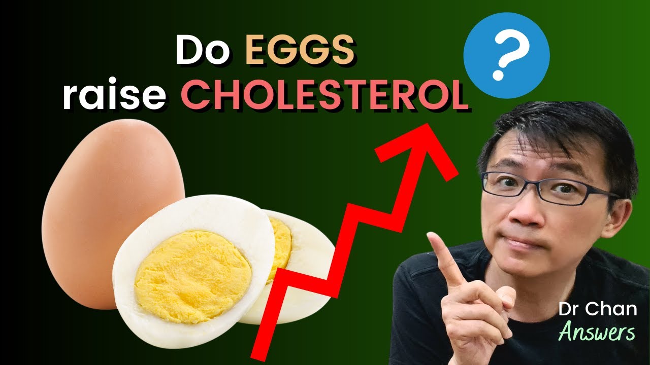 Do Eggs Raise Cholesterol Dr Chan Answers Youtube