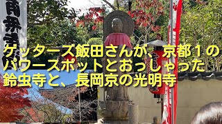 ゲッターズ飯田さんが京都１のパワースポットとおっしゃった鈴虫寺と光明寺