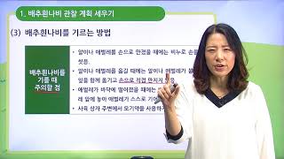 [백점맞는과학]10. 3학년 과학 동물의 한살이 배추흰나비를 기르면서 한살이를 알아보려면 어떻게 해야 할까요