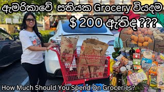 ඇමරිකාවේ සතියක Grocery වියදම 🇺🇲🛒🛍 | How Much Should You Spend On Groceries? | Sinhala