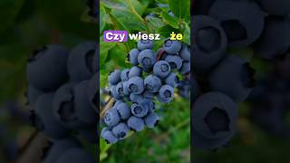 Czy wiesz, ze suszone owoce ... ? #short #video