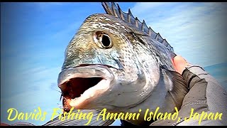 Fly Fishing Bream, Triggerfish フライフィッシング 奄美大島日本￼