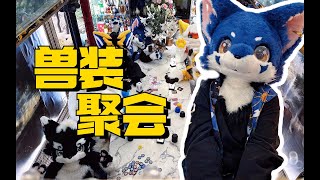 Money变得有点不一样？一个兽装小聚会！【司马小忽悠のFursuit】