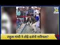 rahul gandhi ने एक मिनट में तोड़े 140 नारियल viral video का fact check। news 24