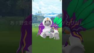 ポケモンGO ヤレユータン　Pokémon GO